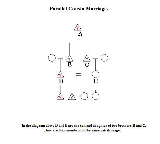 parallel cousin marriage